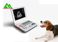El escáner veterinario lleno portátil del ultrasonido de Digitaces para el ganado grazna animal del perro proveedor